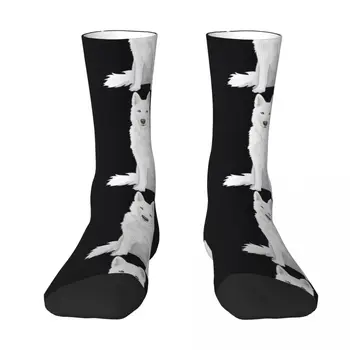 красивые белые носки Siberian Husky - sweet white Snow dog, яркие носки с подвязками, носки для бега в стиле хип-хоп, носки для мальчиков, женские носки для детей